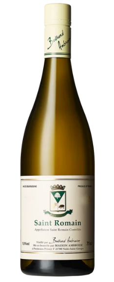 Bertrand Ambroise Saint Romain Blanc
